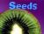 Seeds