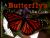 A Butterfly's Life Cycle