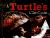 A Turtle's Life Cycle