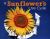 A Sunflower's Life Cycle