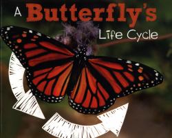 A Butterfly's Life Cycle