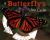 A Butterfly's Life Cycle