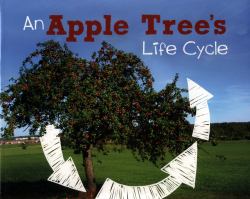 An Apple Tree's Life Cycle