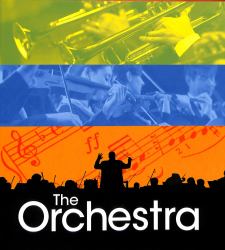 The Orchestra