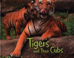 Tigers and Their Cubs