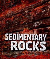Sedimentary Rocks
