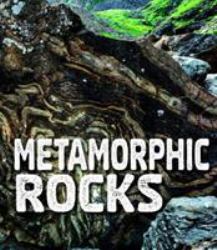 Rocks Pack a Of 4