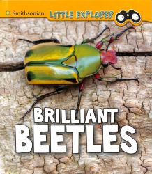 Brilliant Beetles