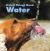 Living Things Need Water