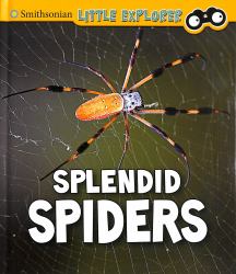 Splendid Spiders
