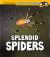 Splendid Spiders
