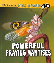 Powerful Praying Mantises