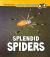 Splendid Spiders