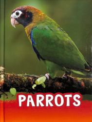 Parrots