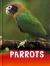 Parrots