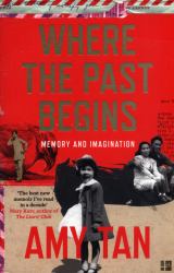 Where the Past Begins : Memory and Imagination