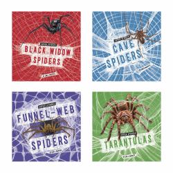 Super Spiders