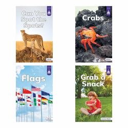 Stairway Decodables Nonfiction Step 2