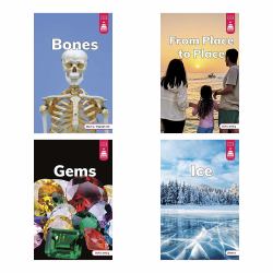 Stairway Decodables Nonfiction Step 4