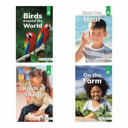 Stairway Decodables Nonfiction Step 6