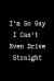 I'm So Gay I Can't Even Drive Straight - Funny Gay Gag Gifts : 6x9 Blank Lined Journal/Notebook