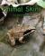 Animal Skins