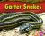 Garter Snakes