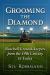 Grooming the Diamond : Baseball Groundskeepers from the 19th Century to Today