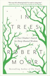 In Trees : An Exploration