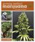 Growing Medical Marijuana : Securely and Legally
