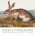 Texas Lithographs : A Century of History in Images