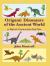 Origami Dinosaurs of the Ancient World : 35 Majestic Creatures from Deep Time
