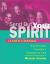 Send Out Your Spirit : Preparing Teens for Confirmation