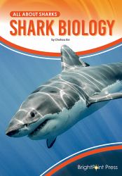 Shark Biology : All about Sharks