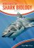 Shark Biology : All about Sharks