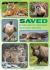 Saved : Endangered Species Success Stories Saved : Endangered Species Success Stories