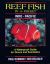 Reef Fish in a Pocket Tropical Pacific : A Personal Map for Your Masculine Journey