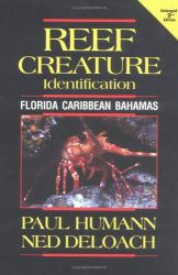 Reef Creature Identification Florida Caribbean Bahamas 2nd Edition