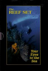 The Reef Set Florida Caribbean Bahamas