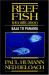 Reef Fish Identification : Baja to Panama