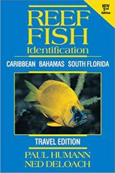 Reef Fish Identification - Travel Edition : Caribbean Bahamas South Florida