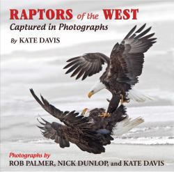 Raptors of the West : Captured in Photographs