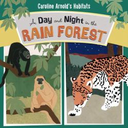A Day and Night in the Rain Forest