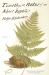 Timothy; or, Notes of an Abject Reptile : A Novel