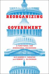 Reorganizing Government : A Functional and Dimensional Framework