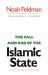 Fall and Rise of the Islamic State