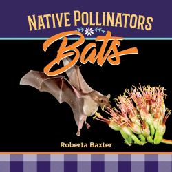 Bats : Native Pollinators