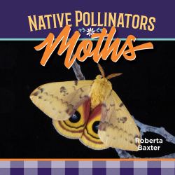 Moths : Native Pollinators