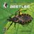All About North American Beetles All About North American Beetles