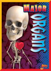 Major Organs